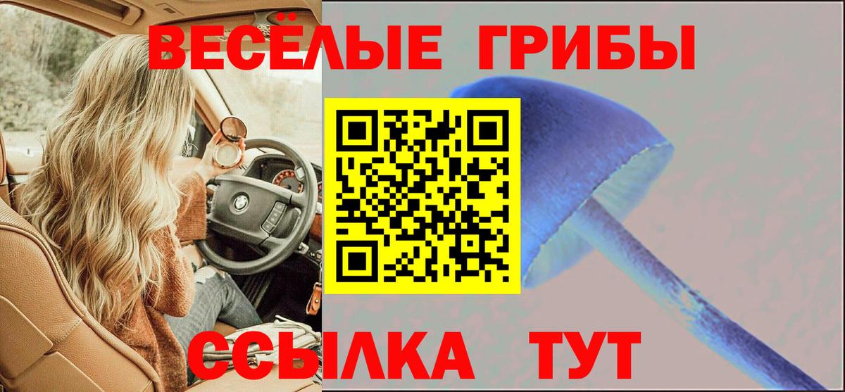 Галлюциногенные грибы Cubensis  где можно купить наркотик  Пыть-Ях  Вход с VPN 